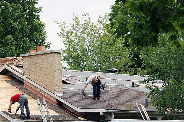 Roof Gutter Cleaning in Wabasso, FL