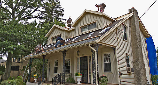 Roof Gutter Cleaning in Wabasso, FL