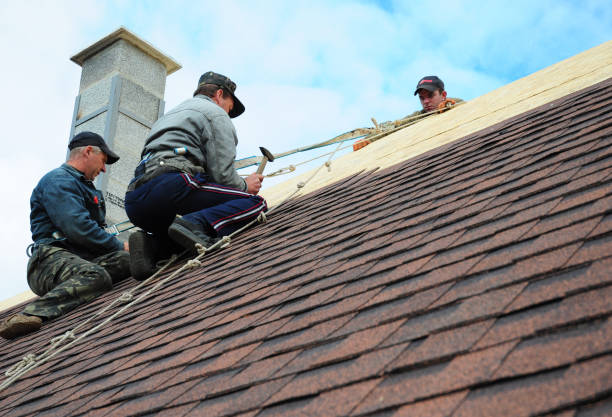 Best Shingle Roofing Installation  in Wabasso, FL